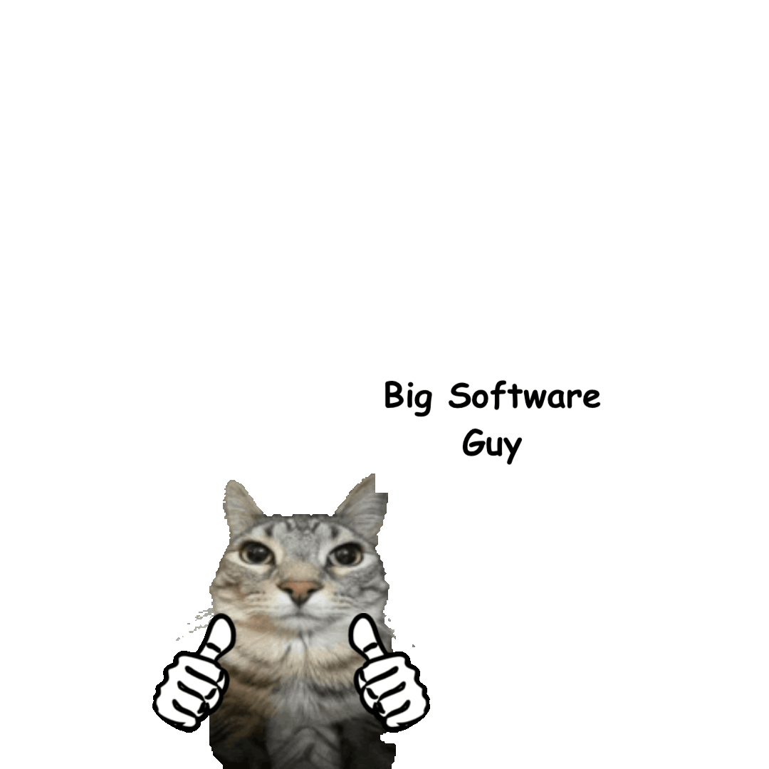Big Software Guy