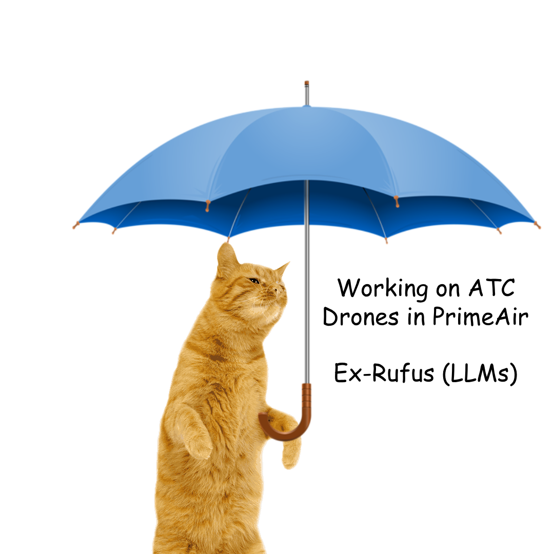 Umbrella Cat